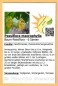 Preview: Passiflora macrophylla, 6 Samen